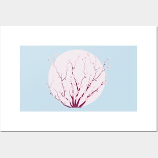 Cherry Blossom Posters and Art